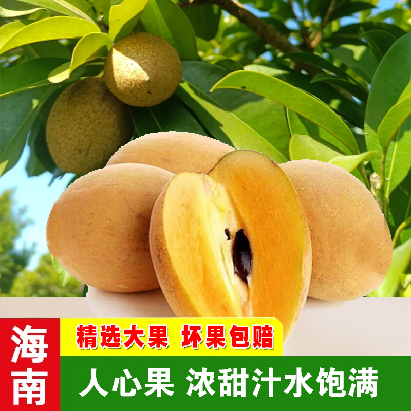 海南人心果 热带仙人果 人参果海南热带当季孕妇香甜饱满水果5斤
