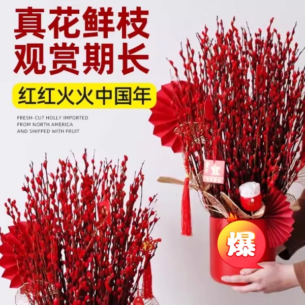 银柳真花鲜枝年宵花卉红色干花福桶银柳水培植物雪柳客厅室内装饰