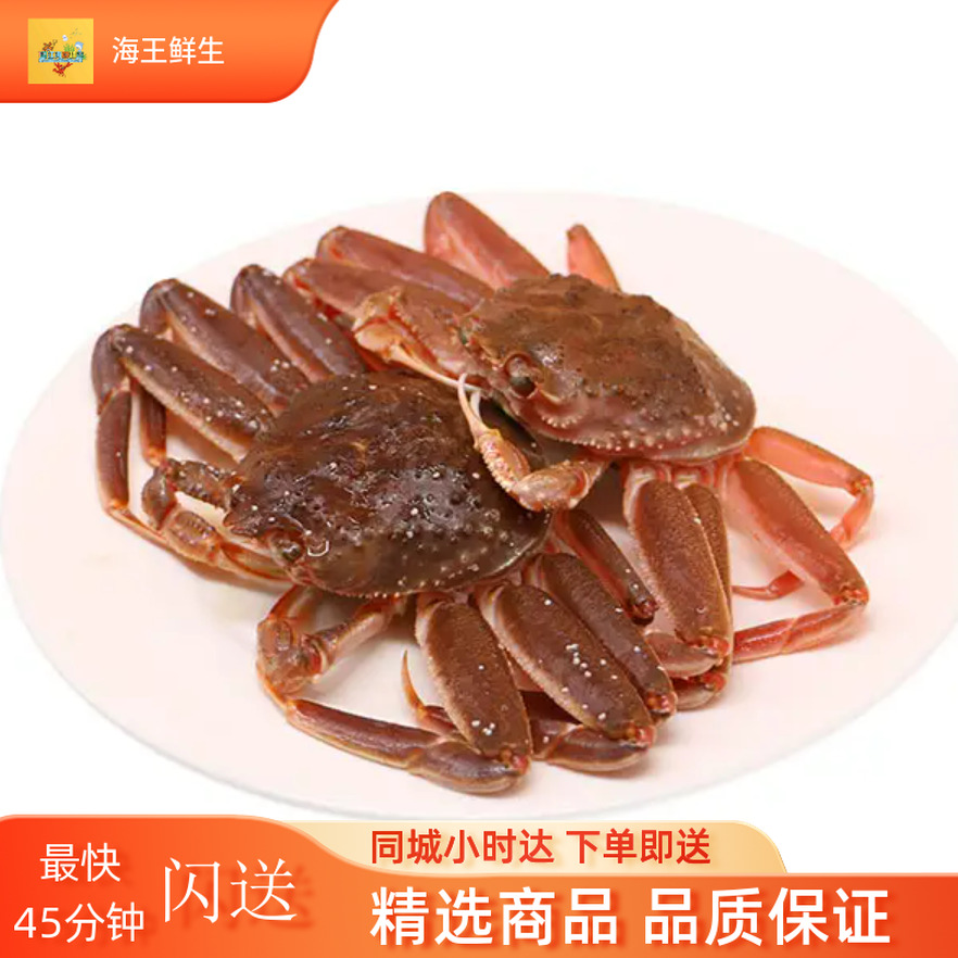 【鲜活蟹】鲜活板蟹/松叶蟹/长脚蟹