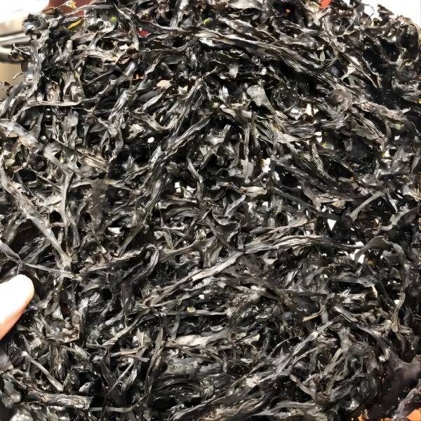 头水紫菜半斤250克