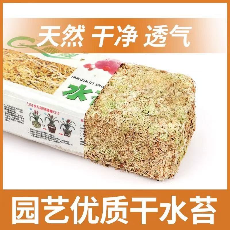 国产干水苔景观用  干水苔作用：保水性 导水性干净