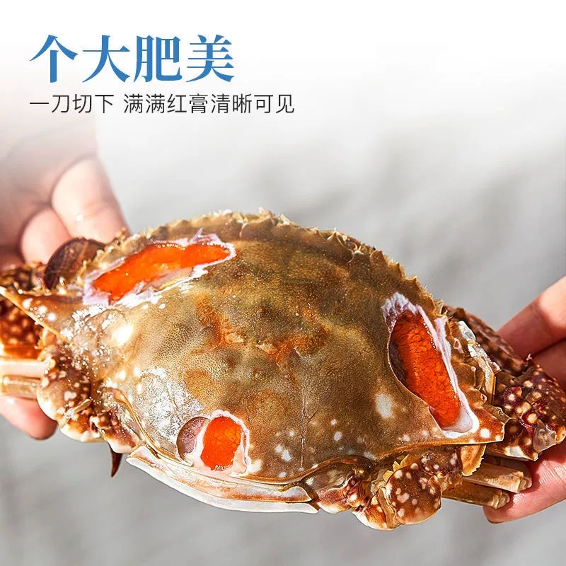 【红膏蟹王】0.8-1斤  舟山宁波正宗新淡红膏呛蟹 腌制品 不可蒸煮