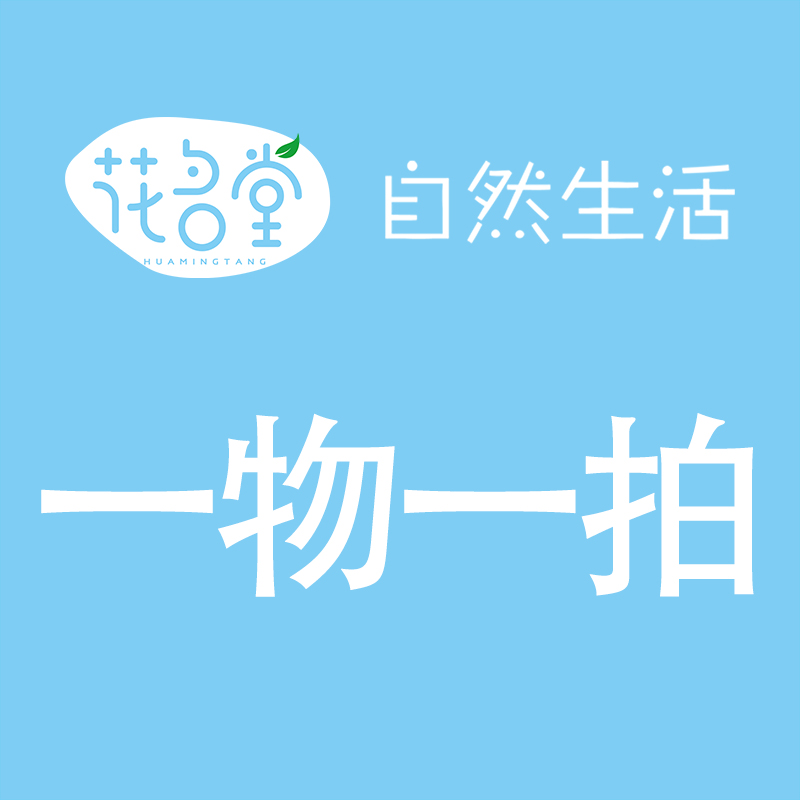 花名堂水培造型植物一物一拍 160-500