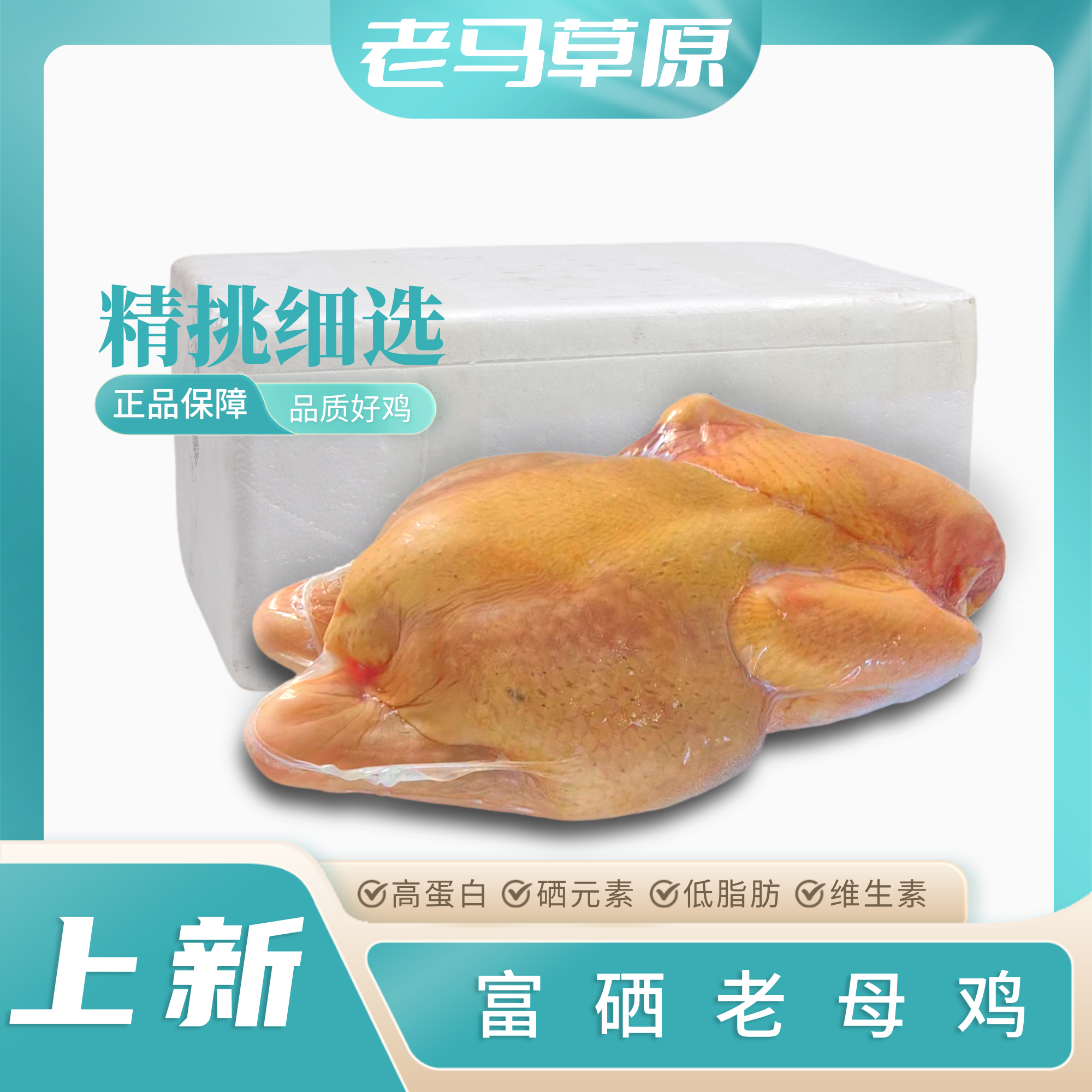 老马草原富硒老母鸡2.7斤 整只 营养丰富 味道鲜美 口感浓郁 包邮