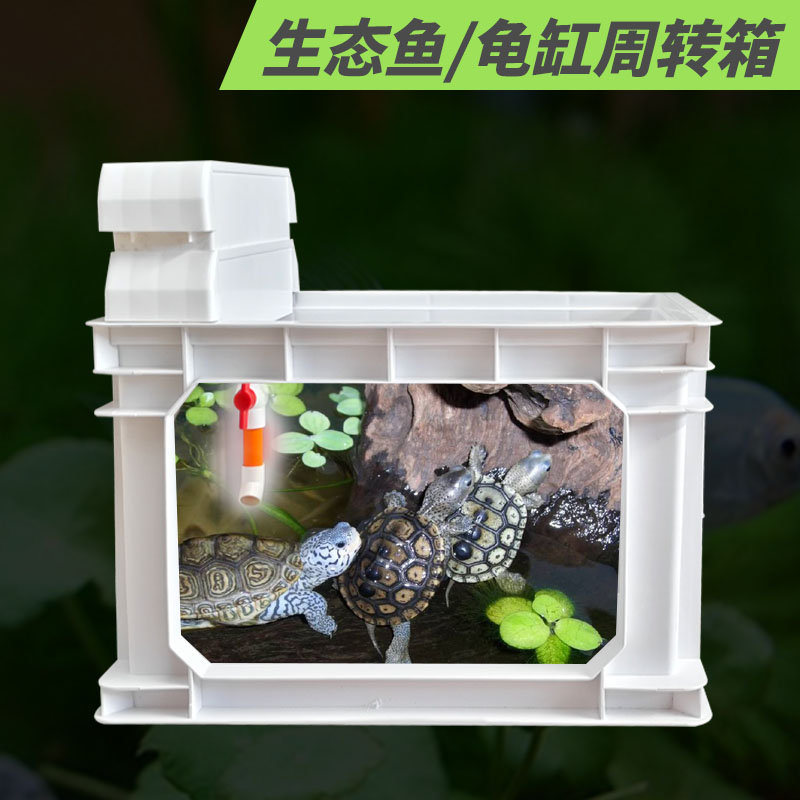 龟缸小乌龟巴西草龟小养龟盒循环过滤透明养殖箱上置过滤周转箱