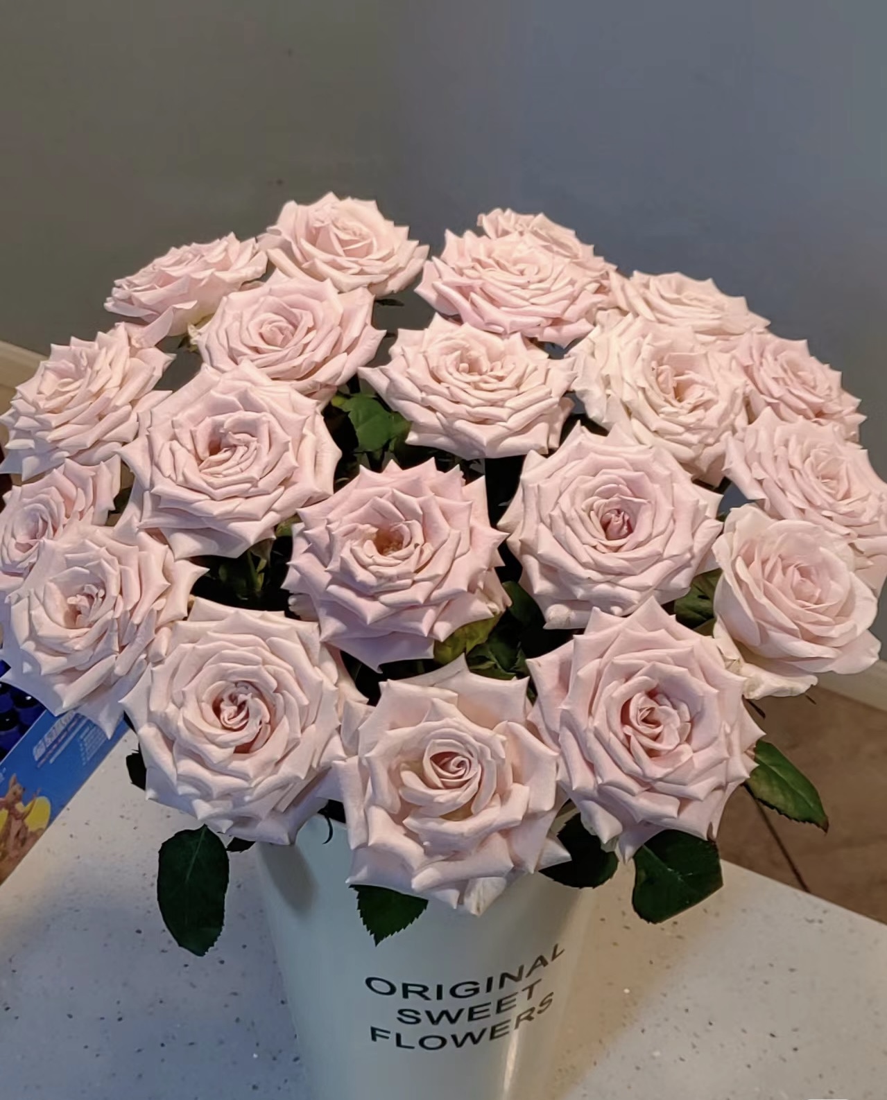 【曼塔】云南斗南基地现采现发品质好曼塔单头玫瑰