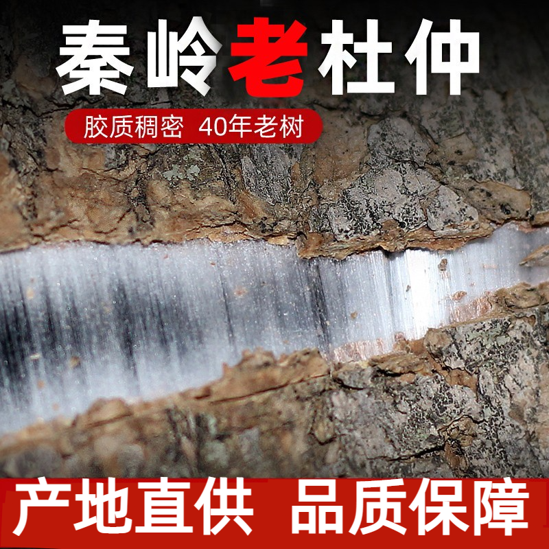 商於百草杜仲 40年老树杜仲 去粗皮厚皮秦岭杜仲皮250g丝绵树泡茶
