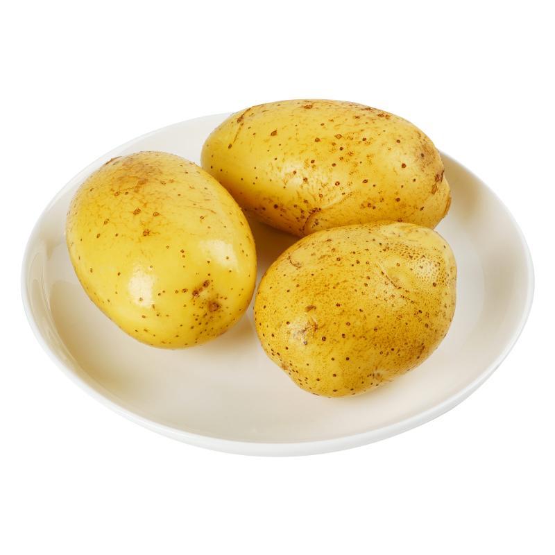 土豆
