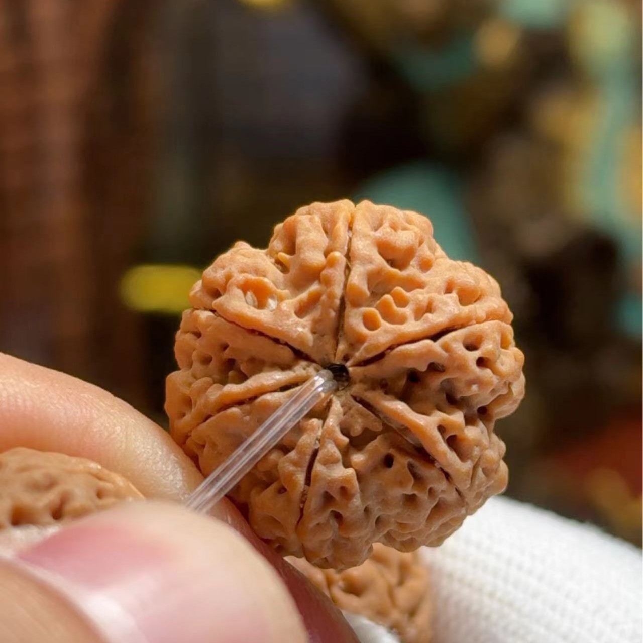 【长安臻品·原生六芒星·万境系列】六瓣尼泊尔大金刚毕业级菩提手串