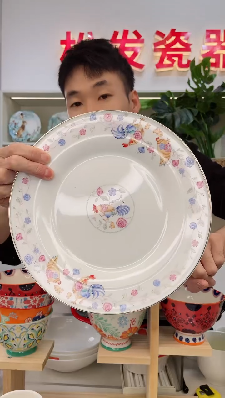 【闪购商品】陶瓷碗10英寸大平盘2个装-缤纷一季