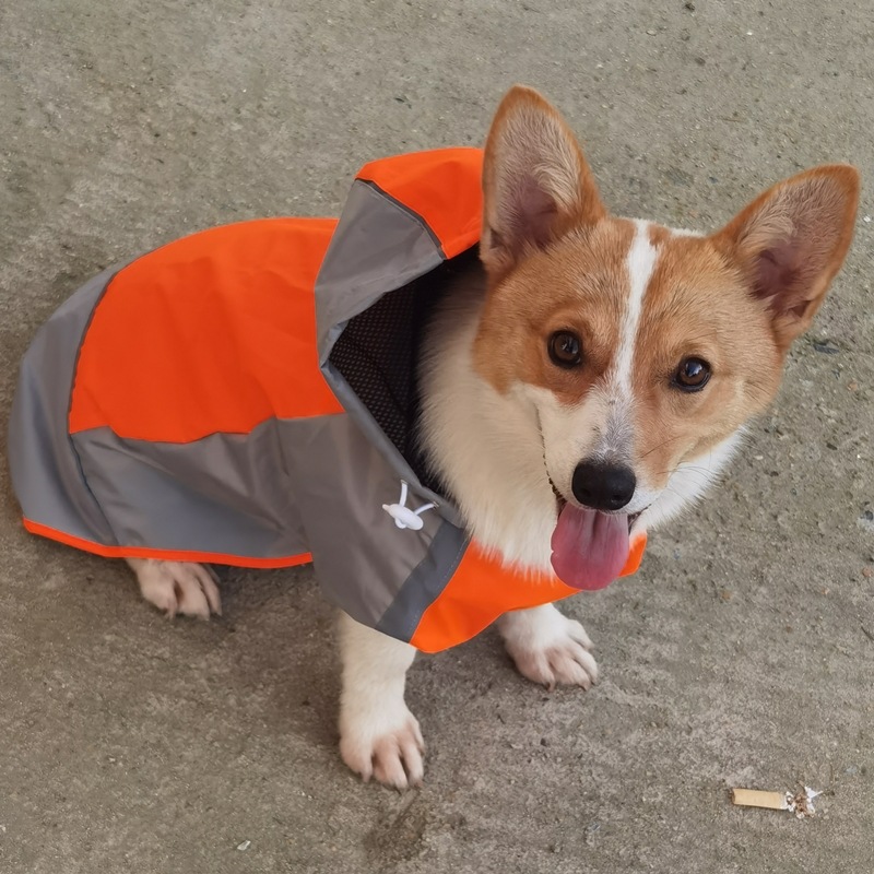 拼色户外狗狗衣服防水大型犬狗雨衣宠物用品一件代发