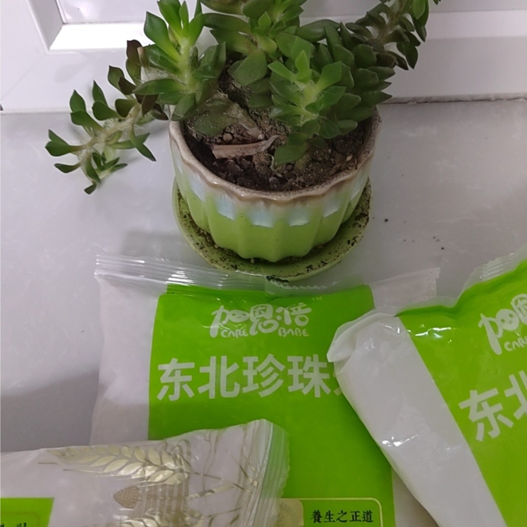 到手一包700克    破损丢件联系客服绿植盆栽商家