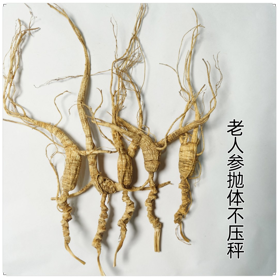 品北珍长白山东北林下参人参干参生晒参高年份
