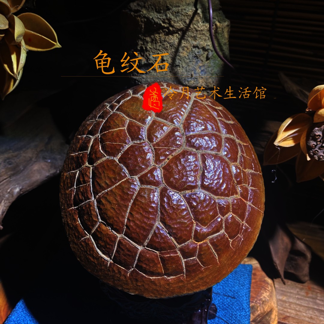 龟纹石大号家居摆件玄关书房茶桌中式禅意