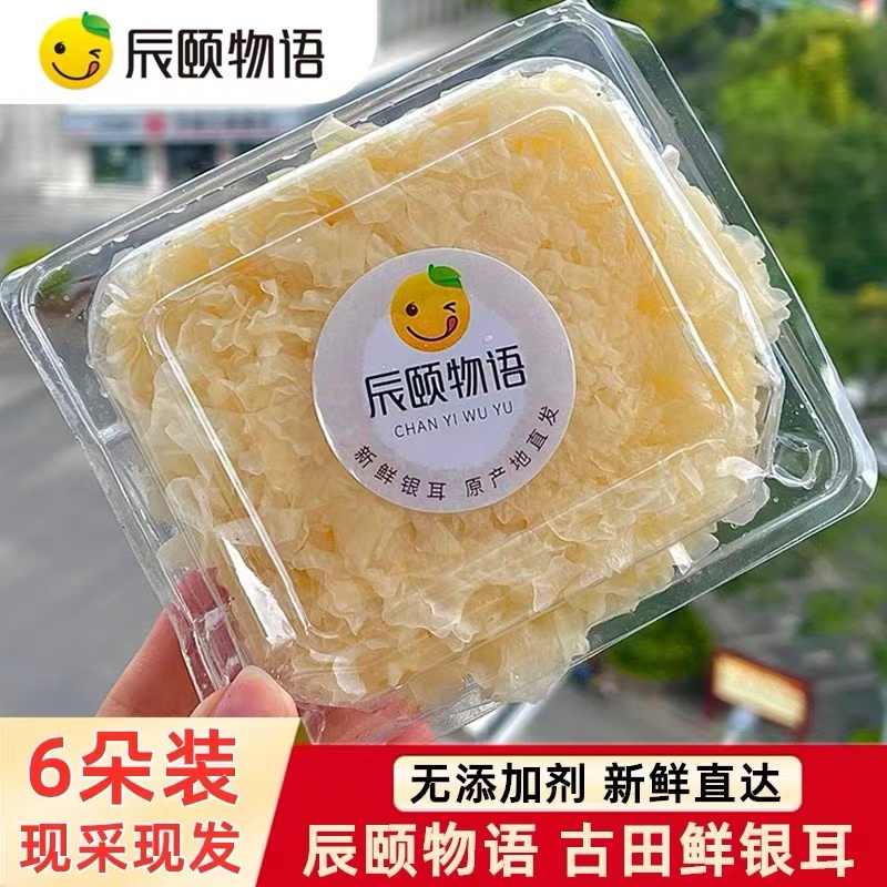辰颐物语福建古田新鲜银耳湿鲜活白木雪耳出胶软糯6朵720g非干货