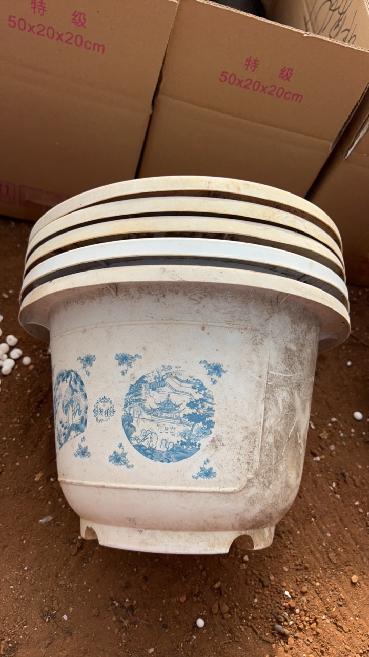 塑料旧花盆，白圆26口径（有点脏）5个发货