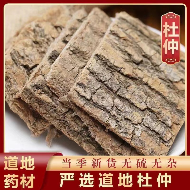 老树龄杜仲厚肉拉丝煲汤料正品干杜仲杜仲老树皮泡茶煮水泡酒滋补