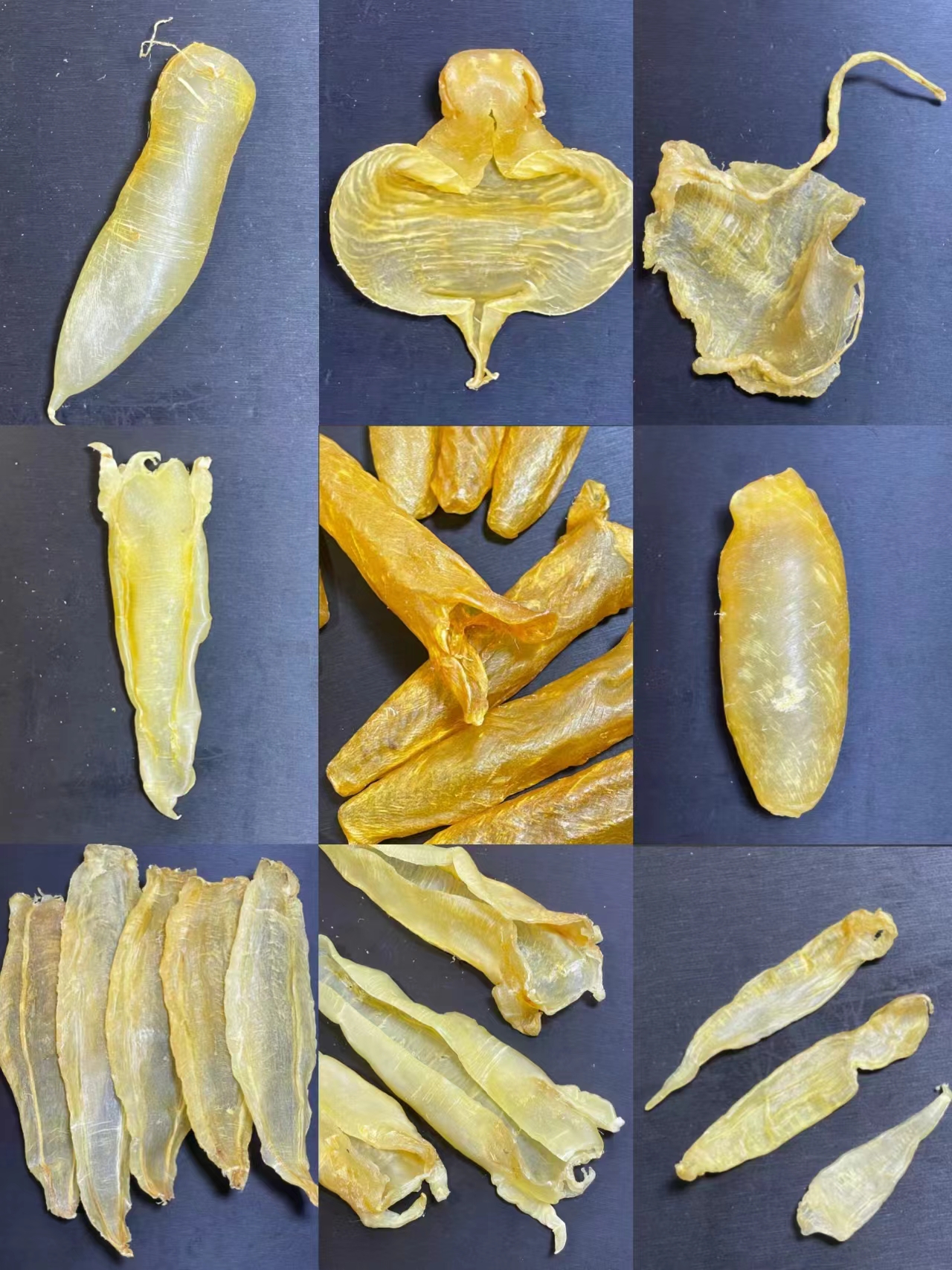 小玉活动综合花胶系列