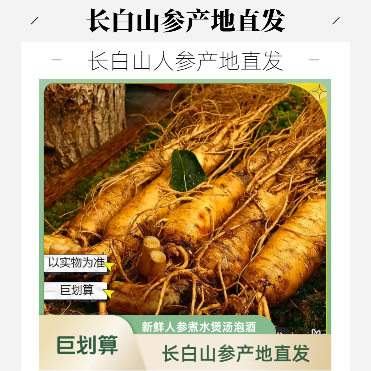 【自选现场称重】参型瑕疵微残长白山鲜人参产地直发煮水煲汤泡酒