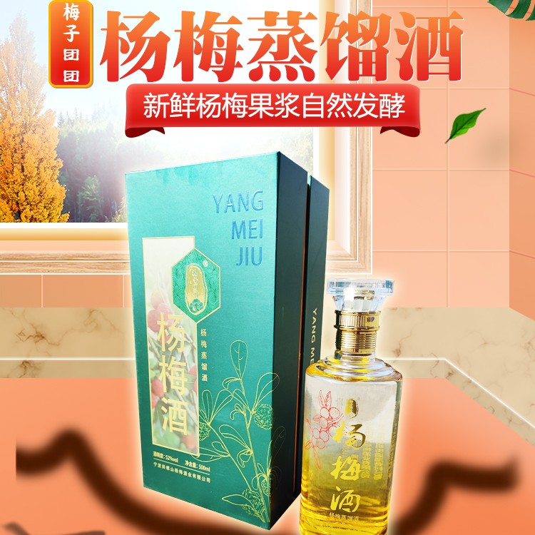 余姚特产梅子团团52°度500ml装杨梅蒸馏酒
