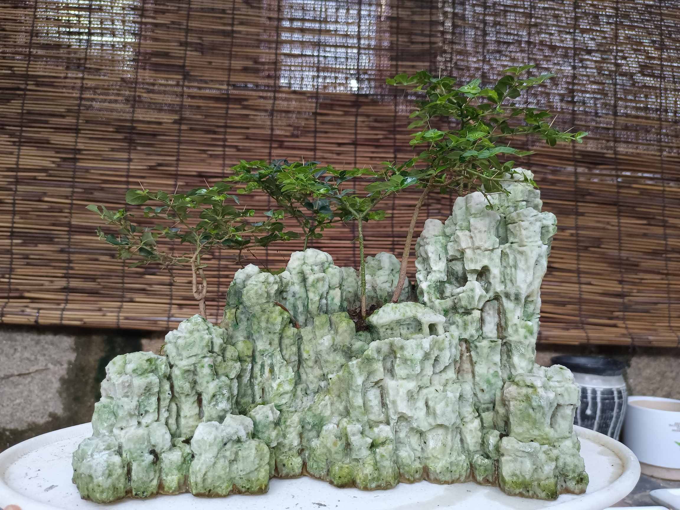 台湾吴定石  纯手工雕刻盆景(直播间一物一拍使用)