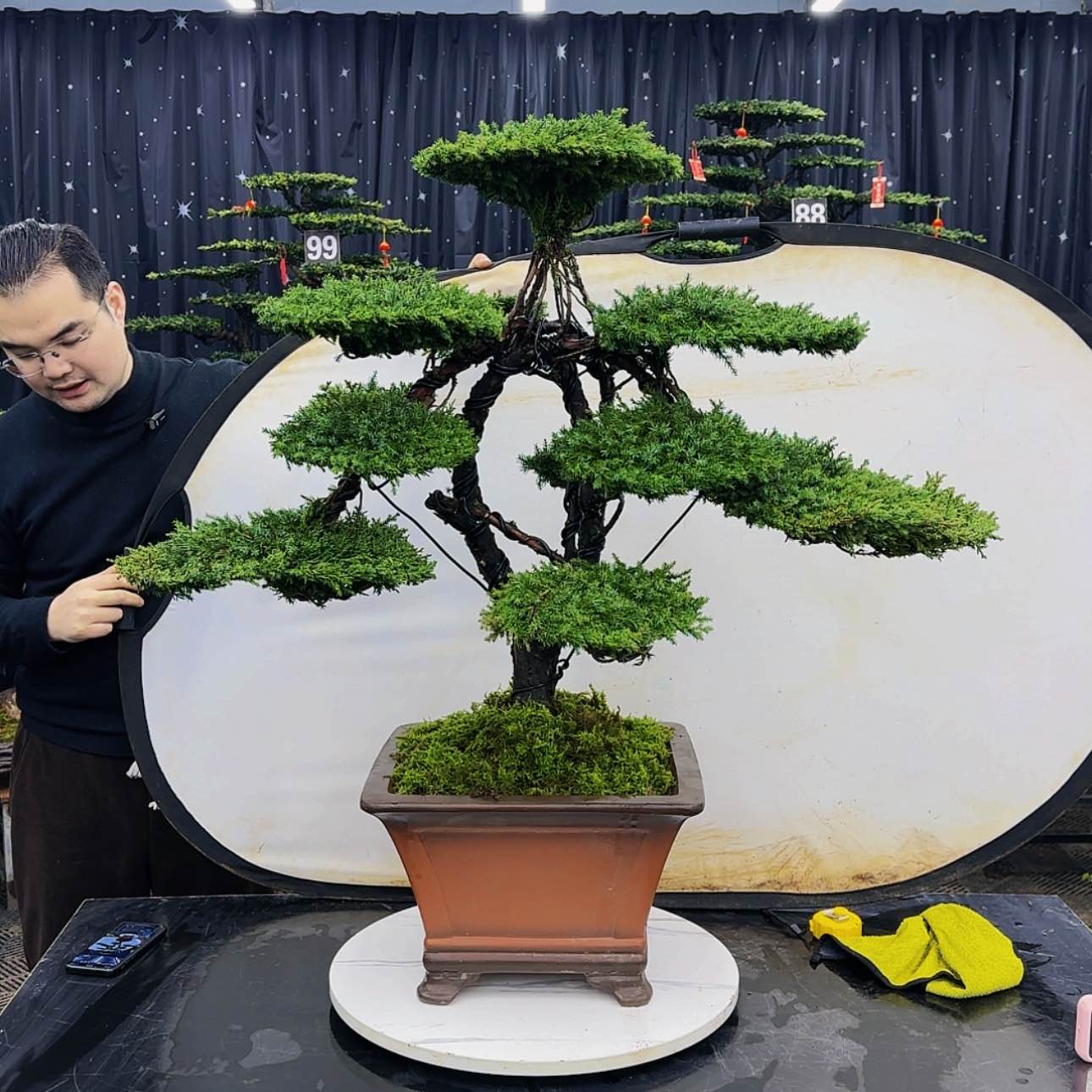 【闪购商品】高端盆景