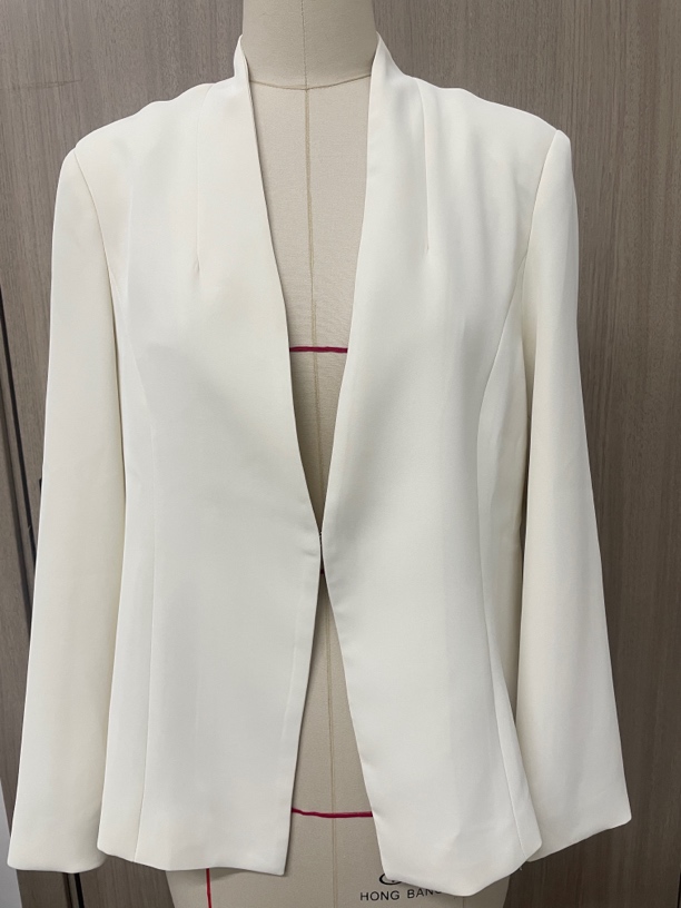 2024秋装新款V领收腰显瘦百搭气质高雅西装