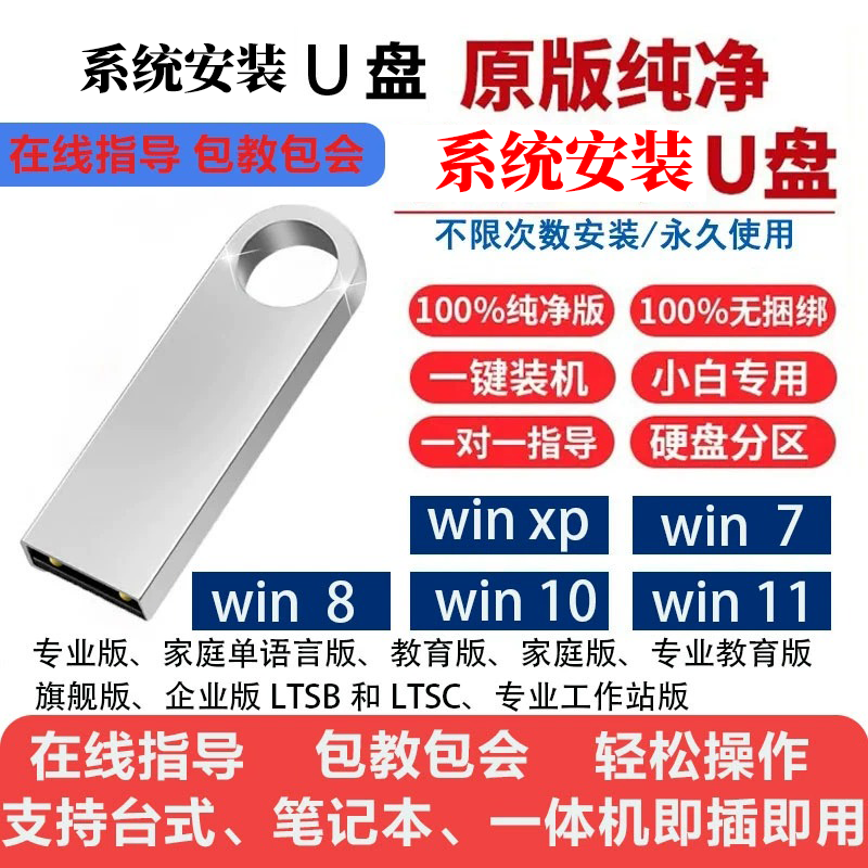 远程系统U盘电脑系统盘PE启动盘一键装机一对一指导两用高速通用