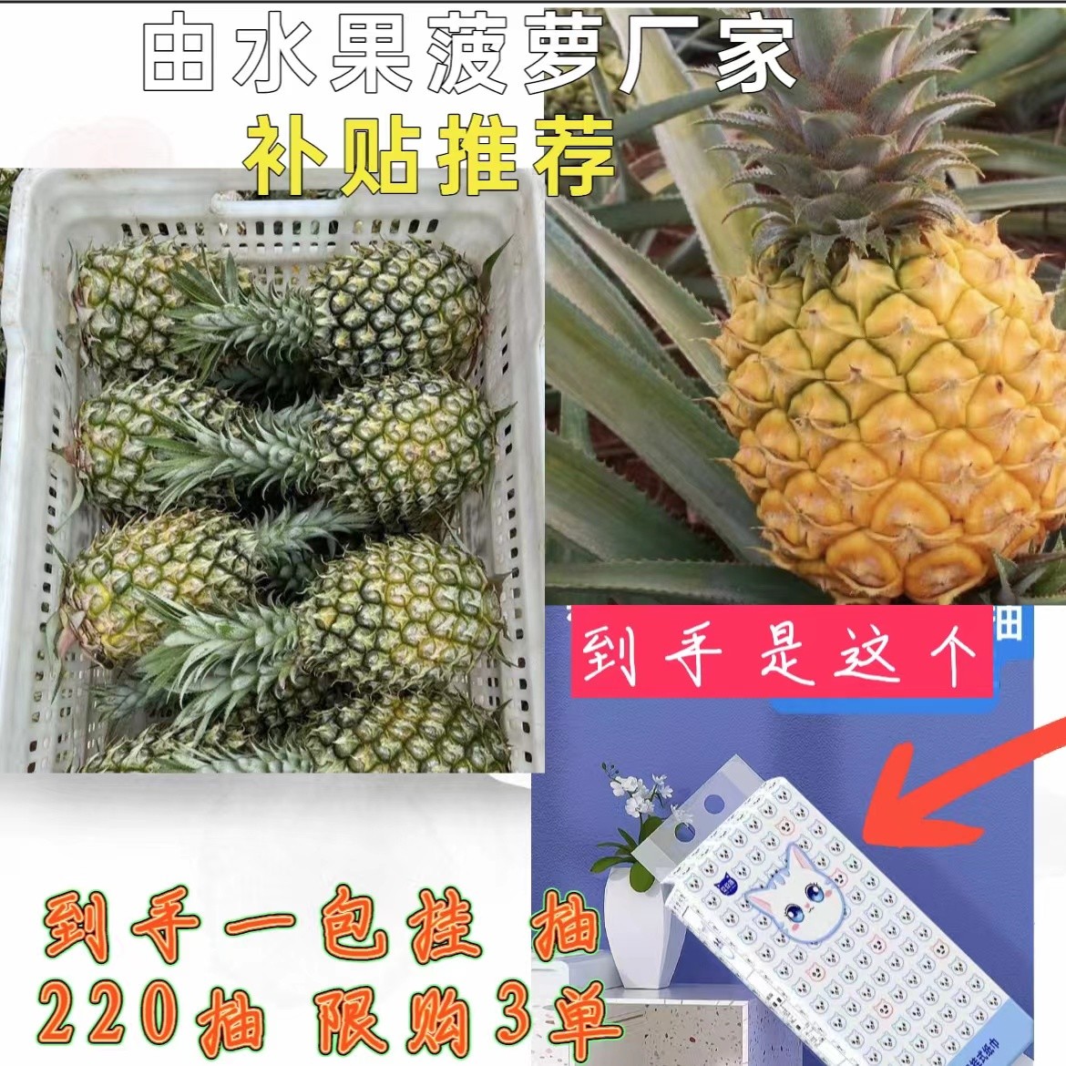 【到手一包220抽】 由推广厂家水果菠萝补贴推荐