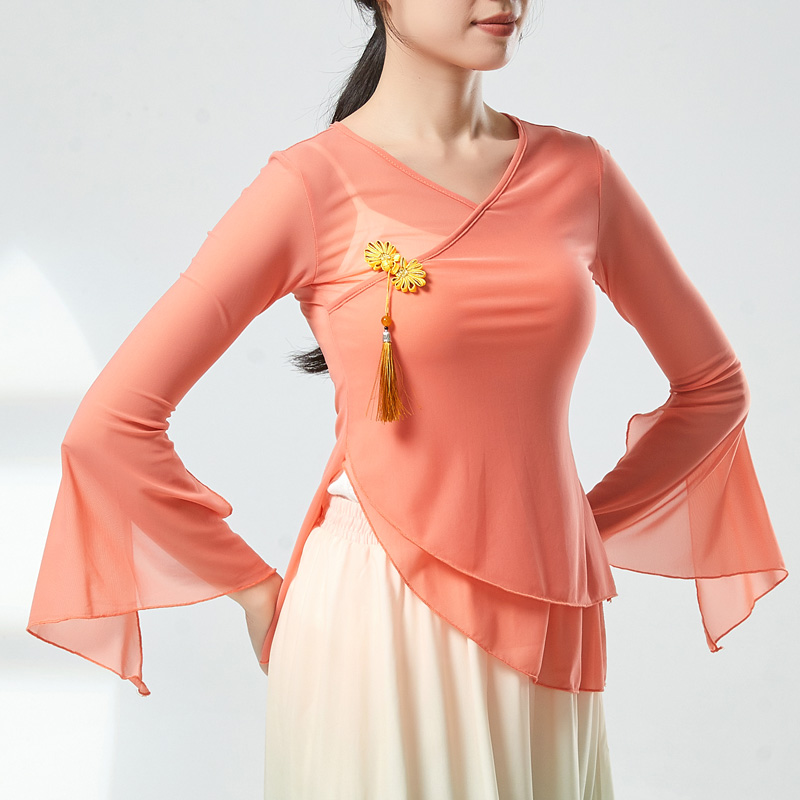 古典舞服装仙气飘飘纱衣身韵练功服民族舞上衣女中国风舞蹈服飘逸