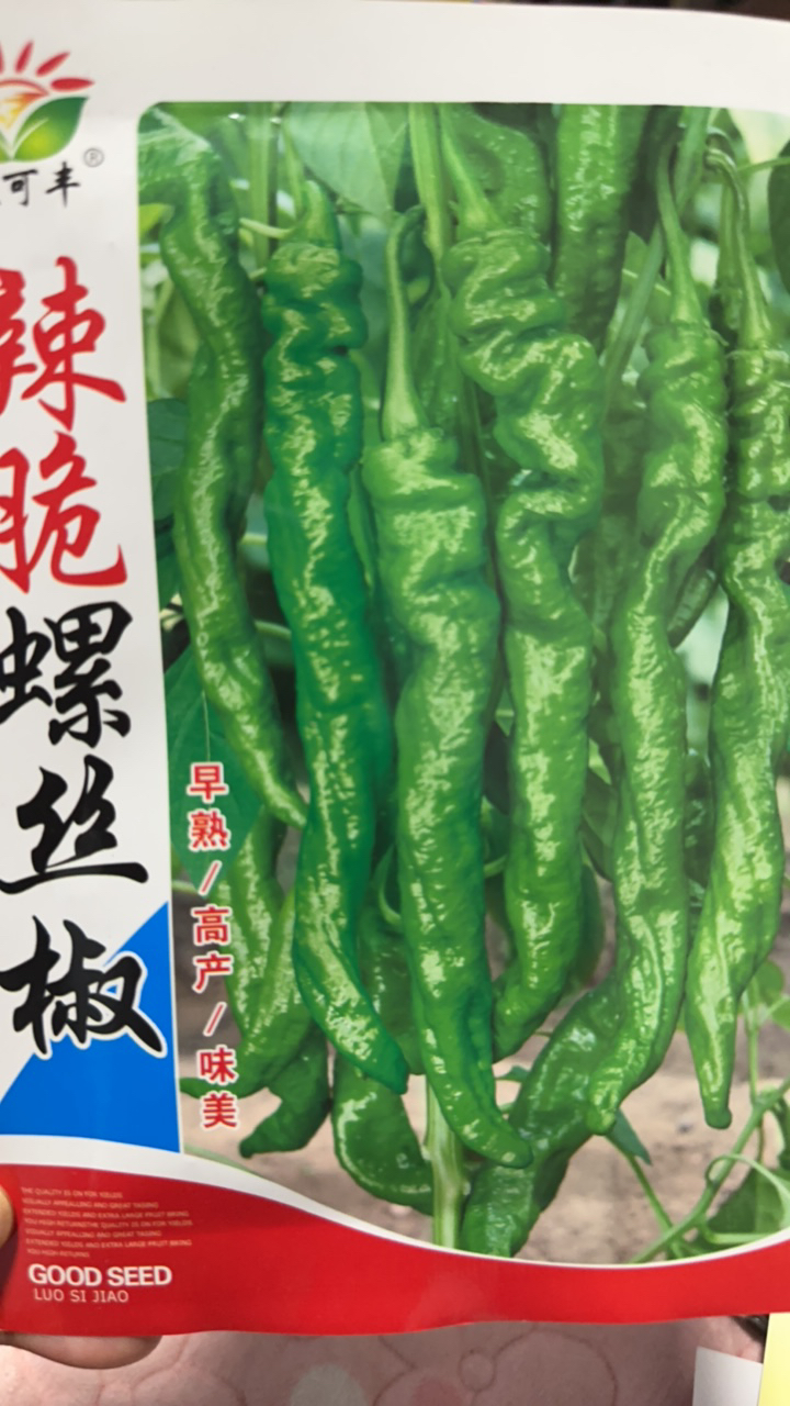 秋可丰辣脆螺丝椒2克