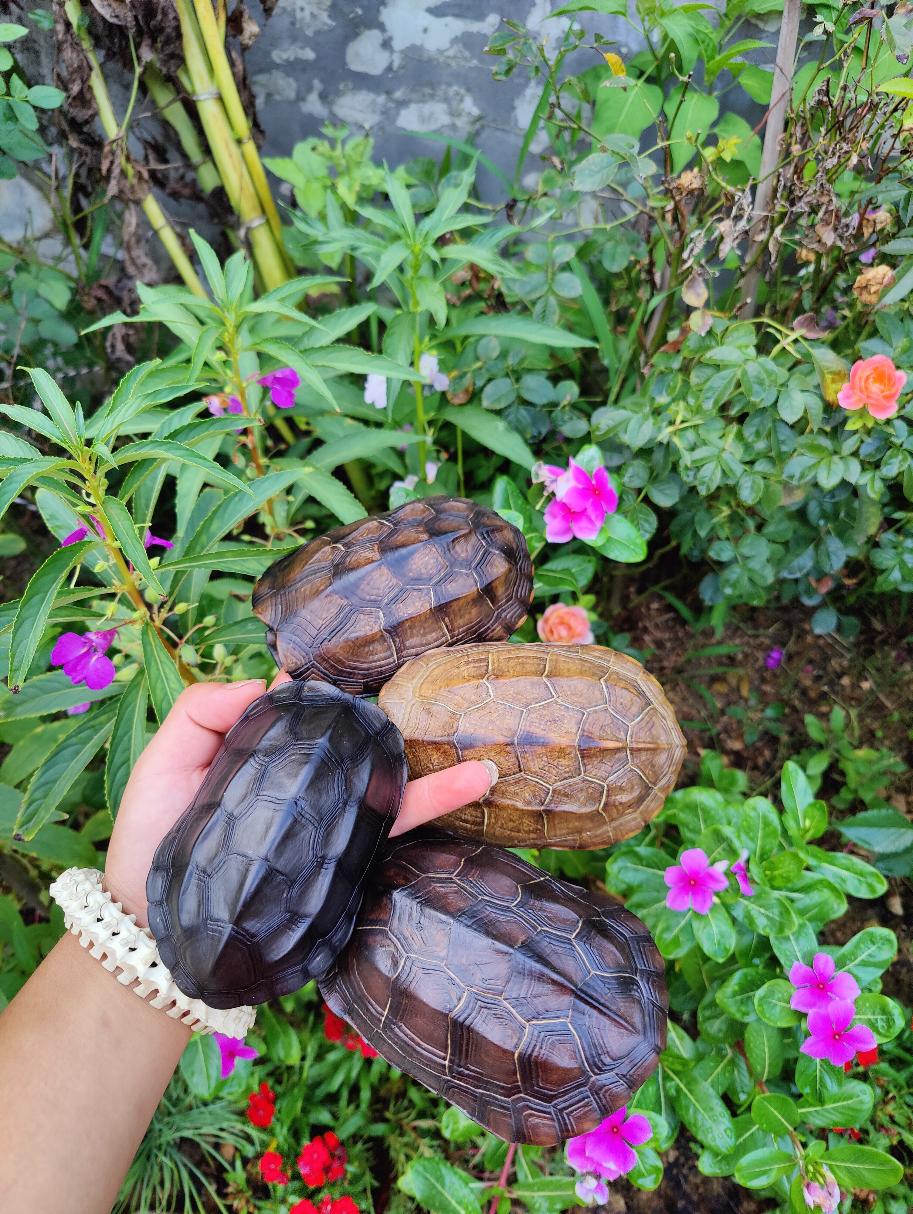 天然真龟壳把玩复古茶宠摆件古玩收藏摇卦龟甲文玩手把件珠串盘玩