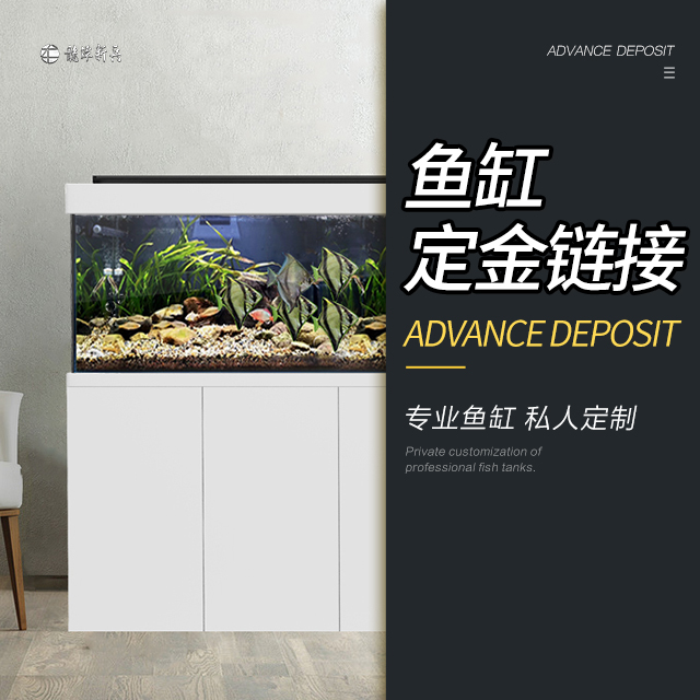 LTXB/龙潭新兵定制鱼缸规格品牌定龙鱼缸金鱼缸预定定金