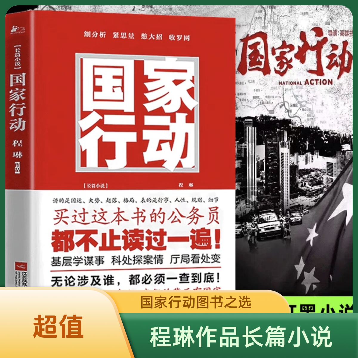 国家行动正版长篇小说程琳作品杀妻案吃瓜白天辉郭京飞伤感