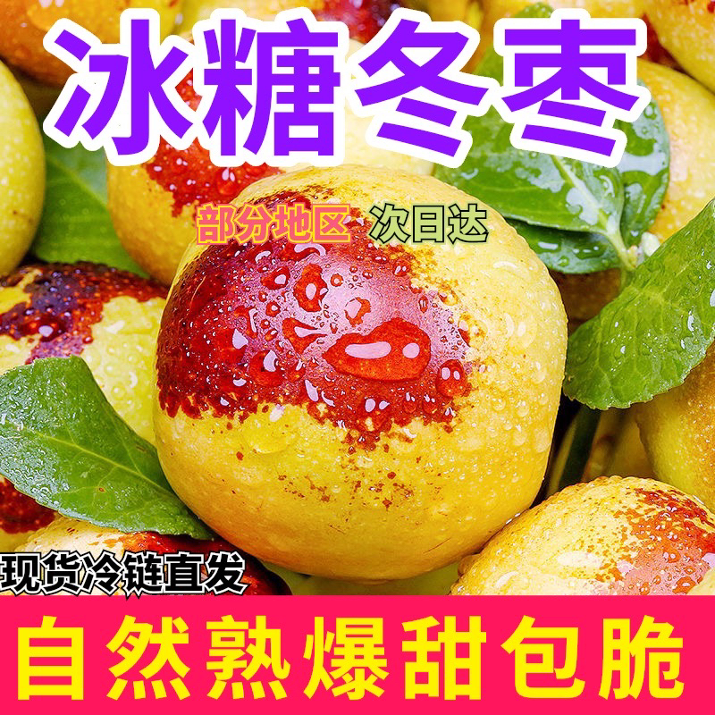 【超大巨无霸】山东沾化鲜冬枣果园现摘现发脆枣新鲜水果大枣整包邮