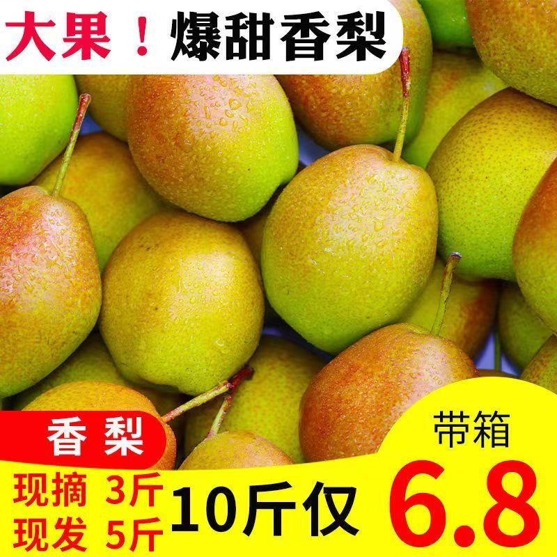 【十荟果业】新疆库尔勒香梨当季新鲜水果特级整箱全母梨特产孕妇包