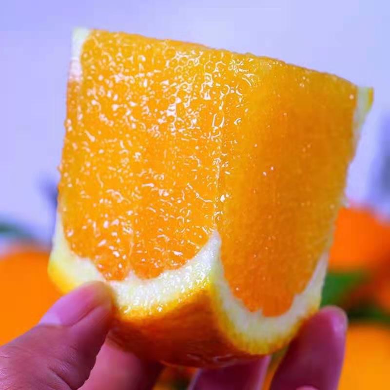 【十荟果业】赣南脐橙新鲜水果当季整箱冰糖橙甜橙夏橙手剥橙江西脐
