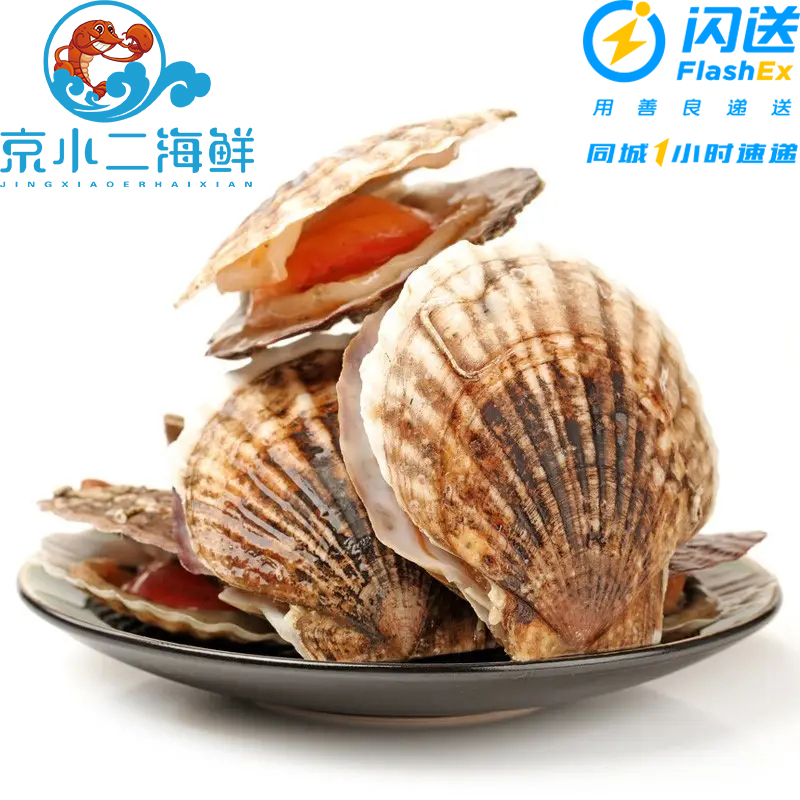 【单个】 鲜活扇贝 大连獐子岛大扇贝 鲜活水产