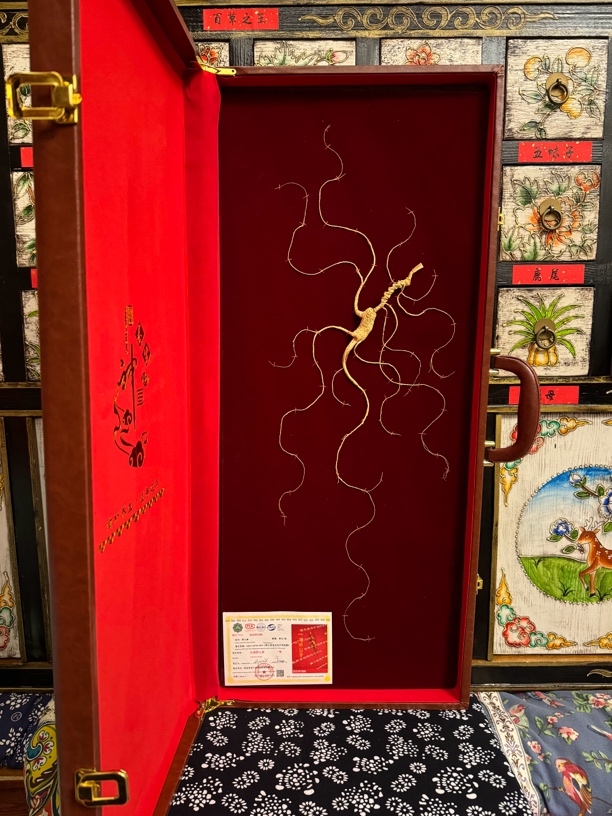 国检一等 林下参 干参 人参礼盒