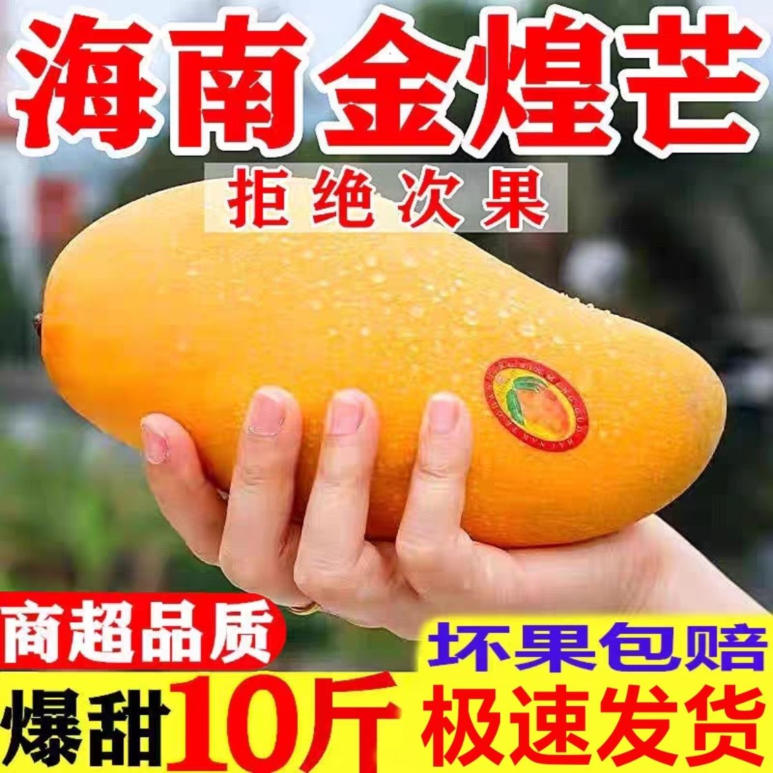 海南芒果金煌芒果10斤装整箱水仙芒大果纯甜无丝薄皮大青芒甜心芒