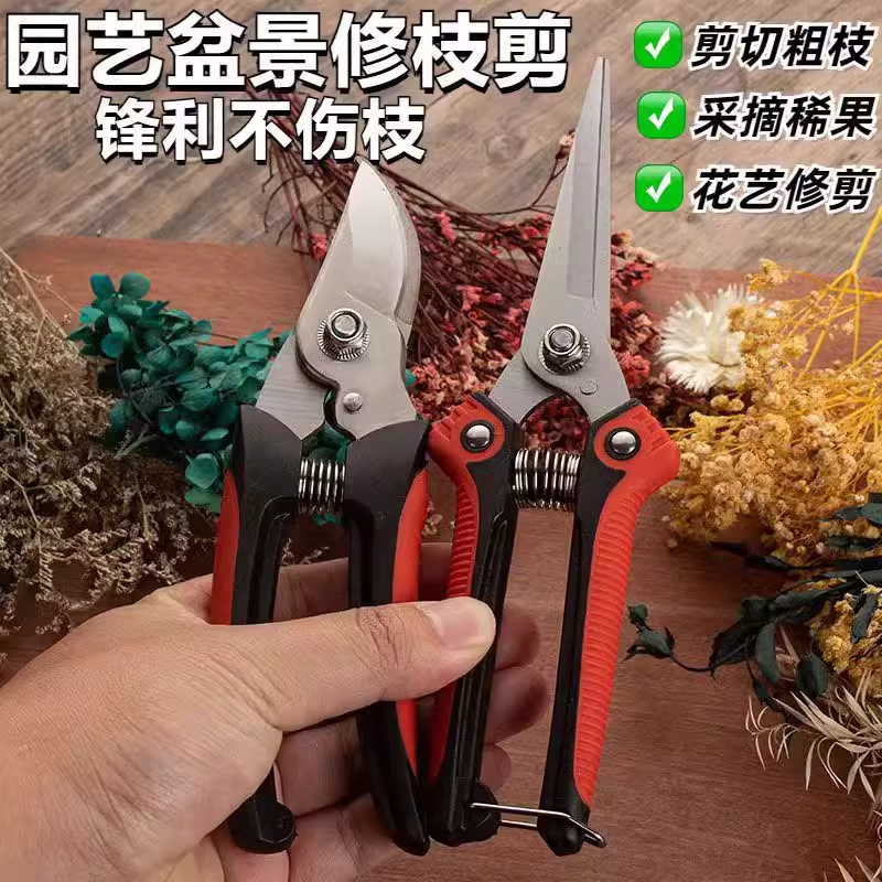 日本进口不锈钢园艺剪刀树枝专用剪刀摘果剪刀花艺玫瑰修枝剪包邮