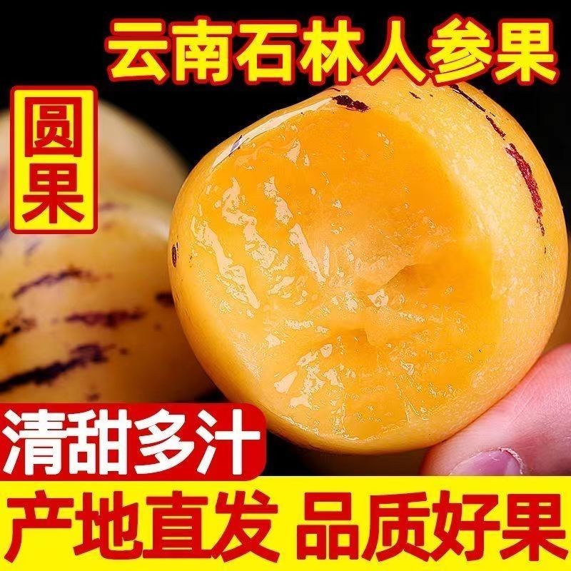 云南石林黄心黄肉七彩人参果低糖高硒老人儿童孕妇包邮