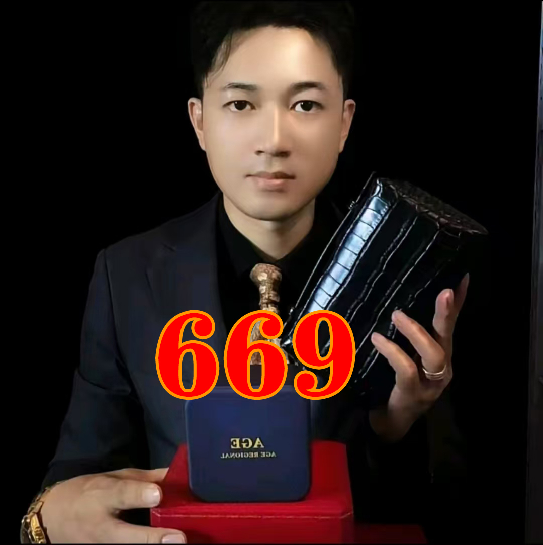 W-WeiGang-669-新款进口女士包包-WG