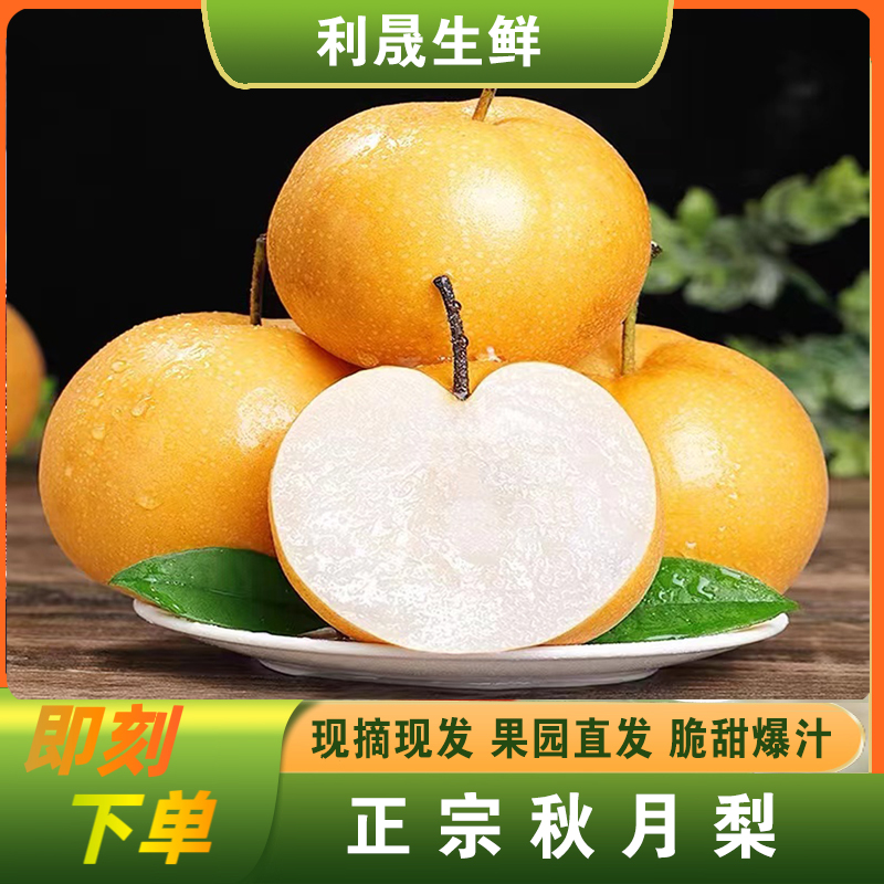 正宗山东秋月梨新鲜当季水果净重4.5-5斤到手6-8个