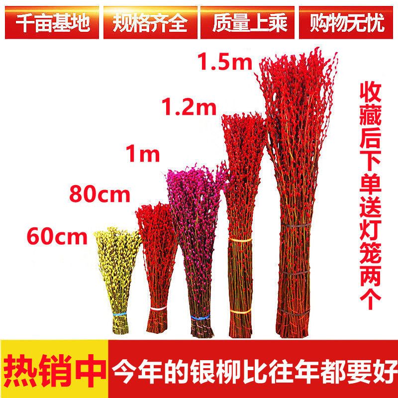 银柳干花真花鲜枝年宵花卉红色银柳干花水培植物客厅室内装饰花束