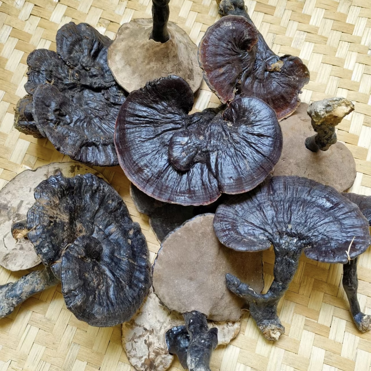 非种植紫灵芝 黑灵芝 净重250克
