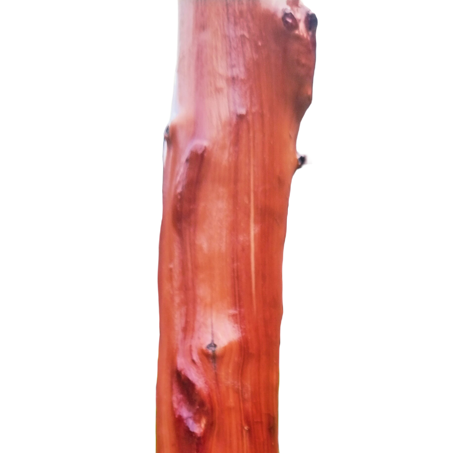 无品牌红栒子鞭杆武术棍通用登山木制，木质爬山棍