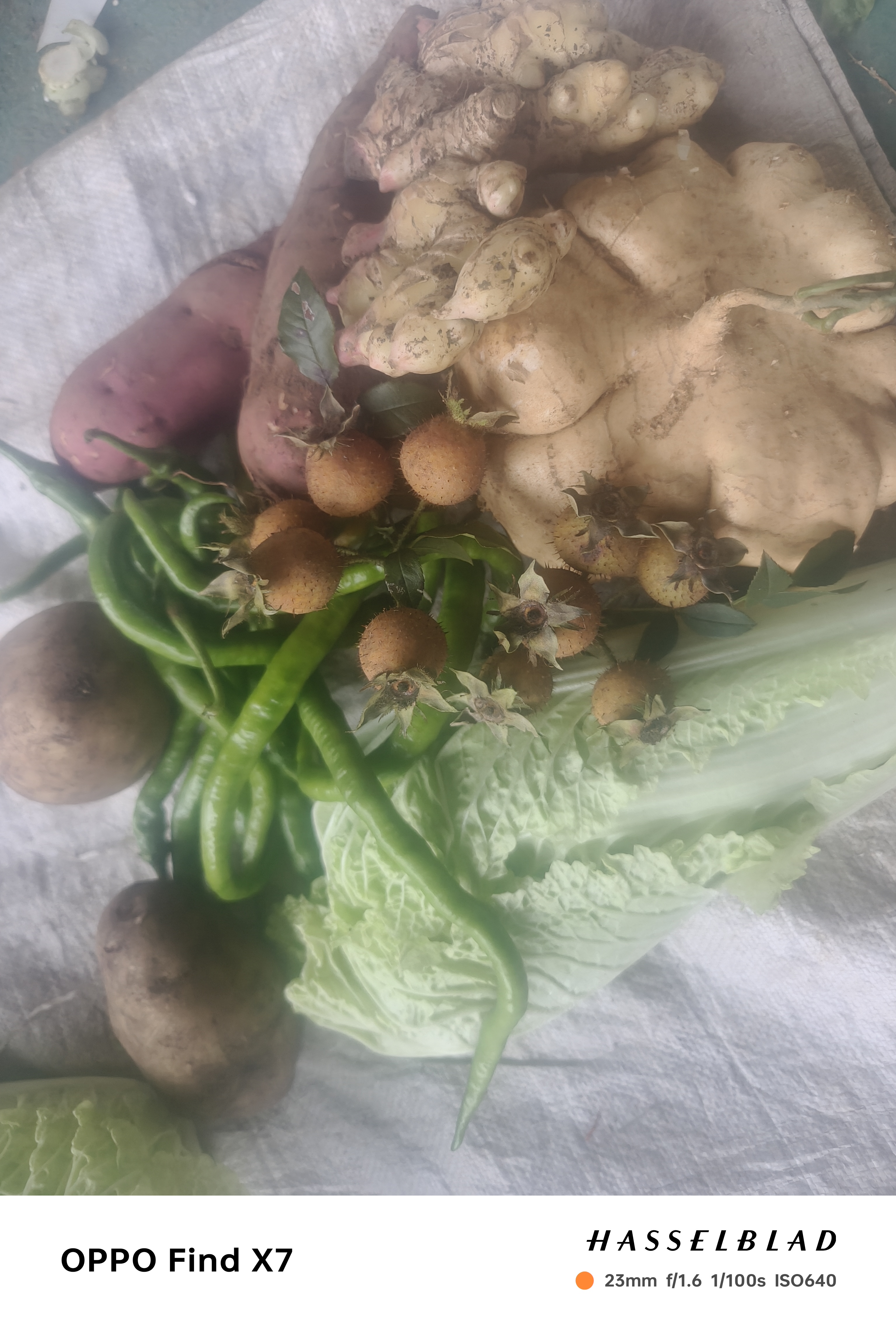 贵州本地农家自摘自卖赶集干货蔬菜链接