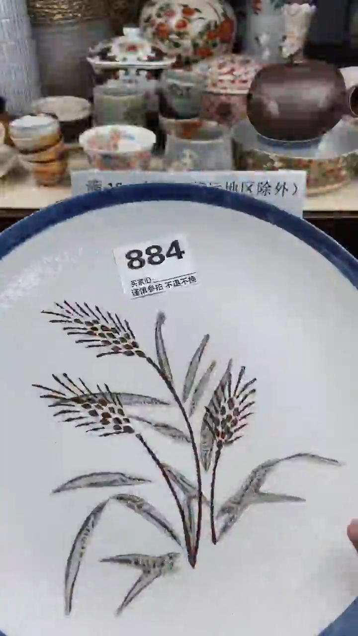 【闪购商品】密胺瓷片884