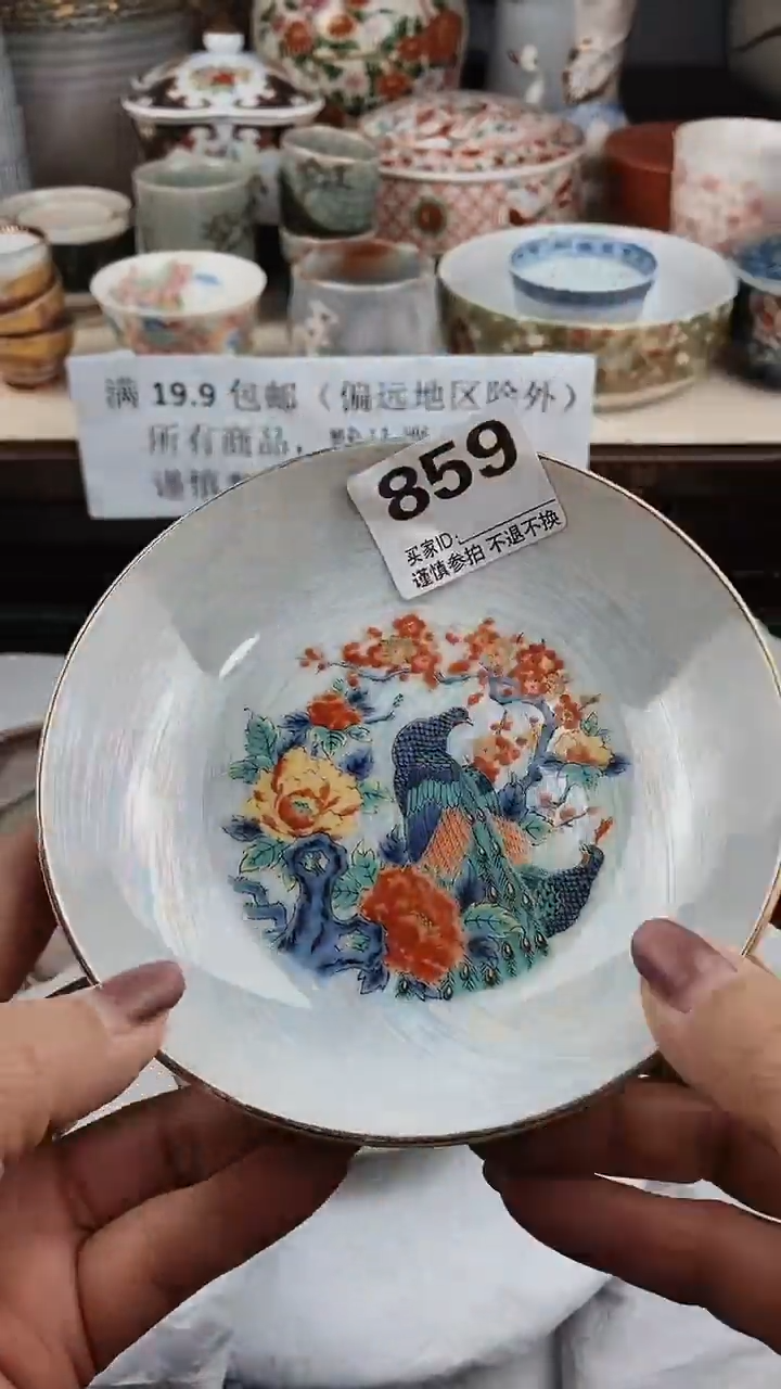 【闪购商品】密胺瓷片859